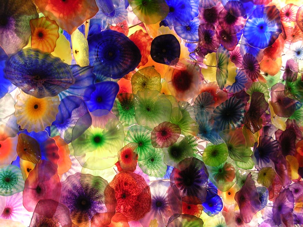 Blown Glass Flowers Are Wallpaper Picswallpaper