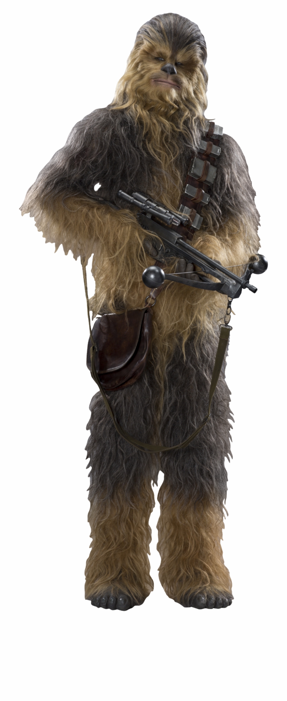 Chewbacca Png Clipart Star Wars Characters No Background