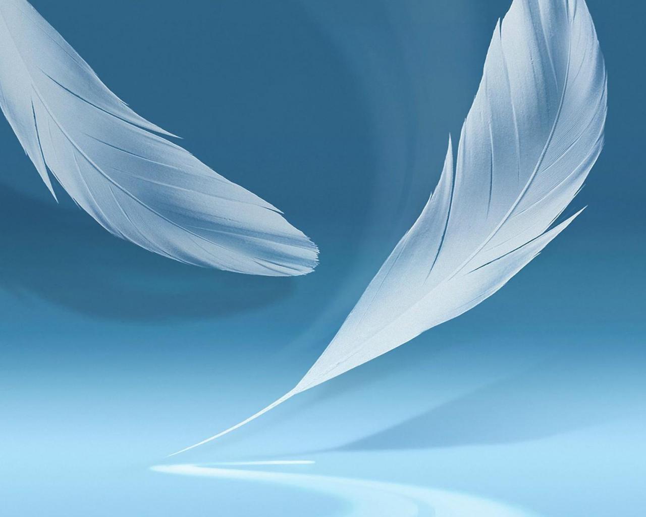 Feather Wallpaper Hq Desktop