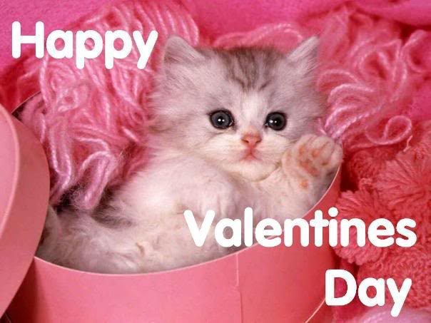 Show Your Pet Some Love This Valentine S Day Veterinary Secrets