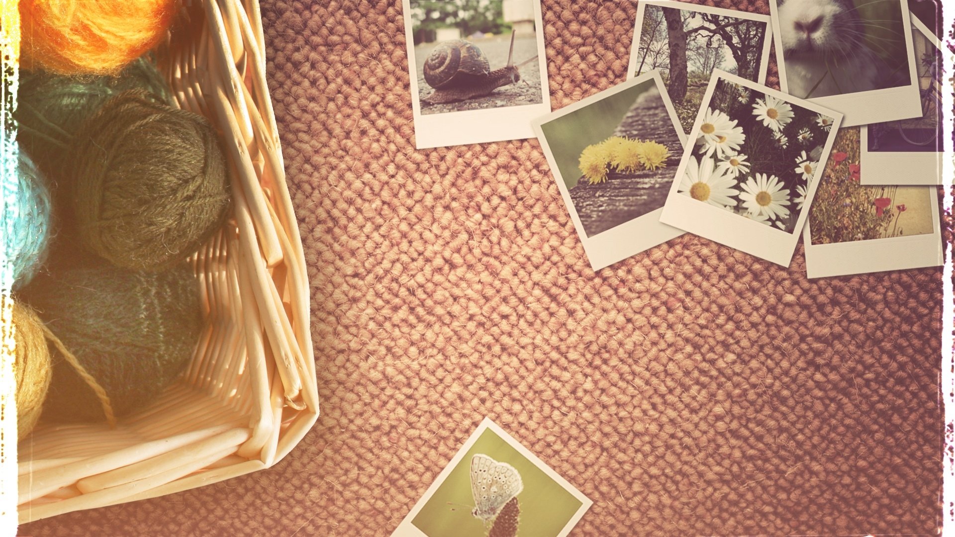 Photography Still Life HD Wallpaper