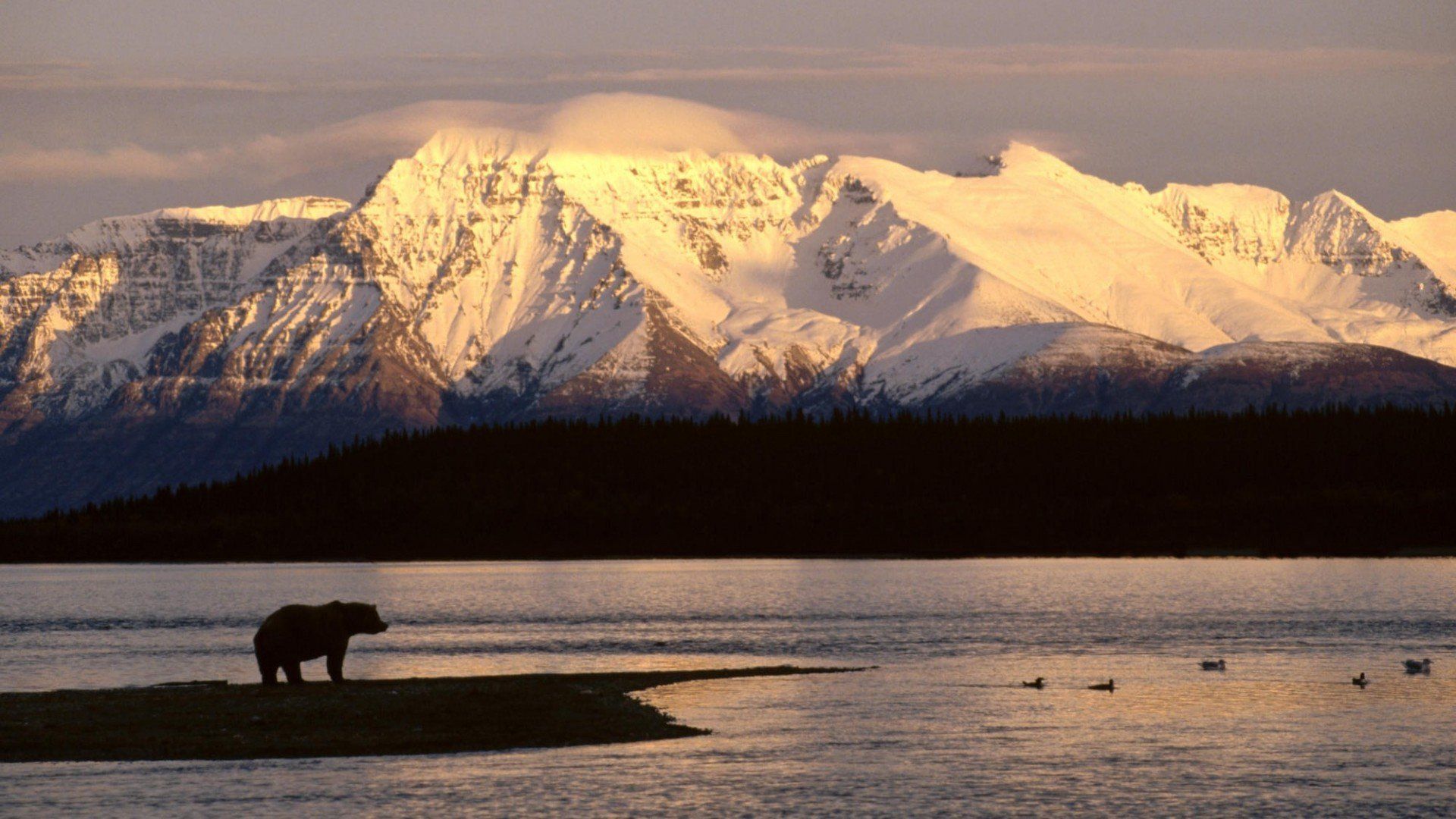 Alaska Wallpaper Pictures