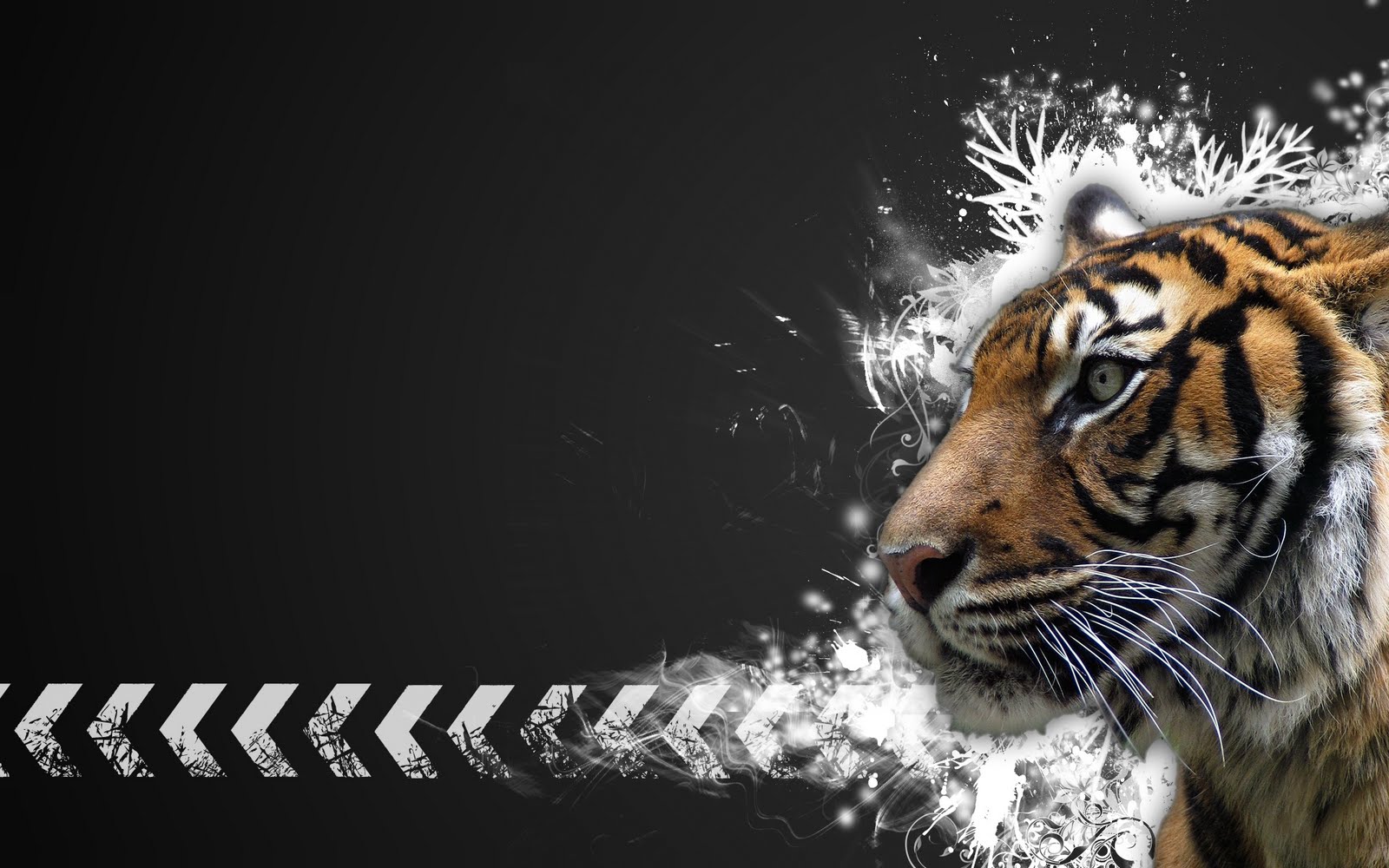 Tiger Vector Widescreen HD Wallpaper