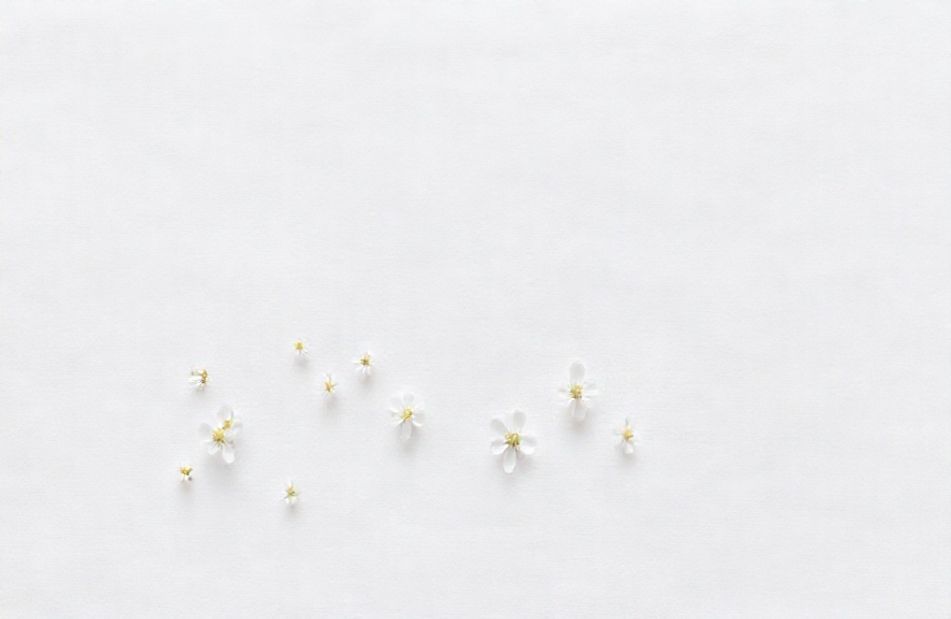 White Background Wallpaper