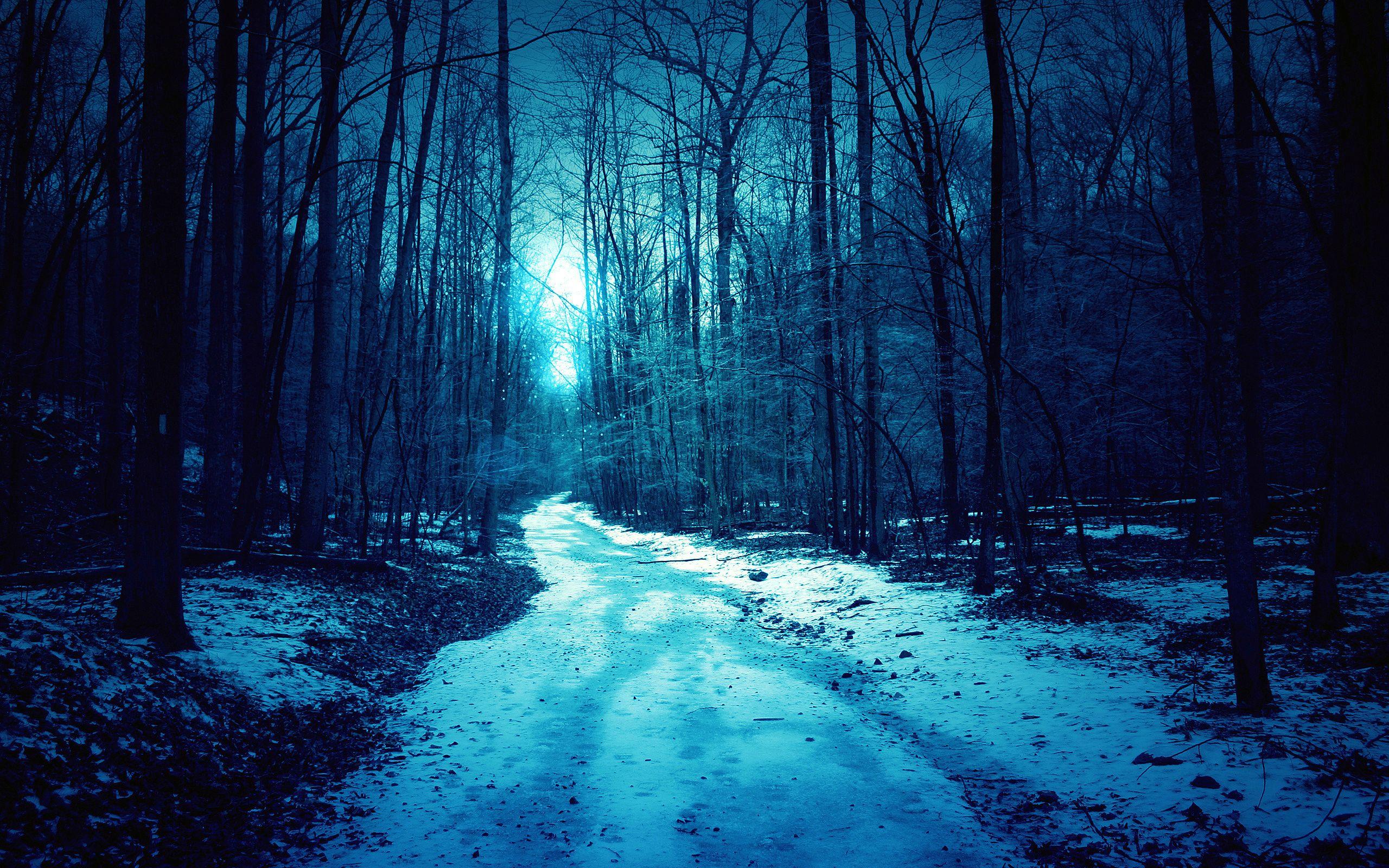 Winter Night Background Group Wallpaper