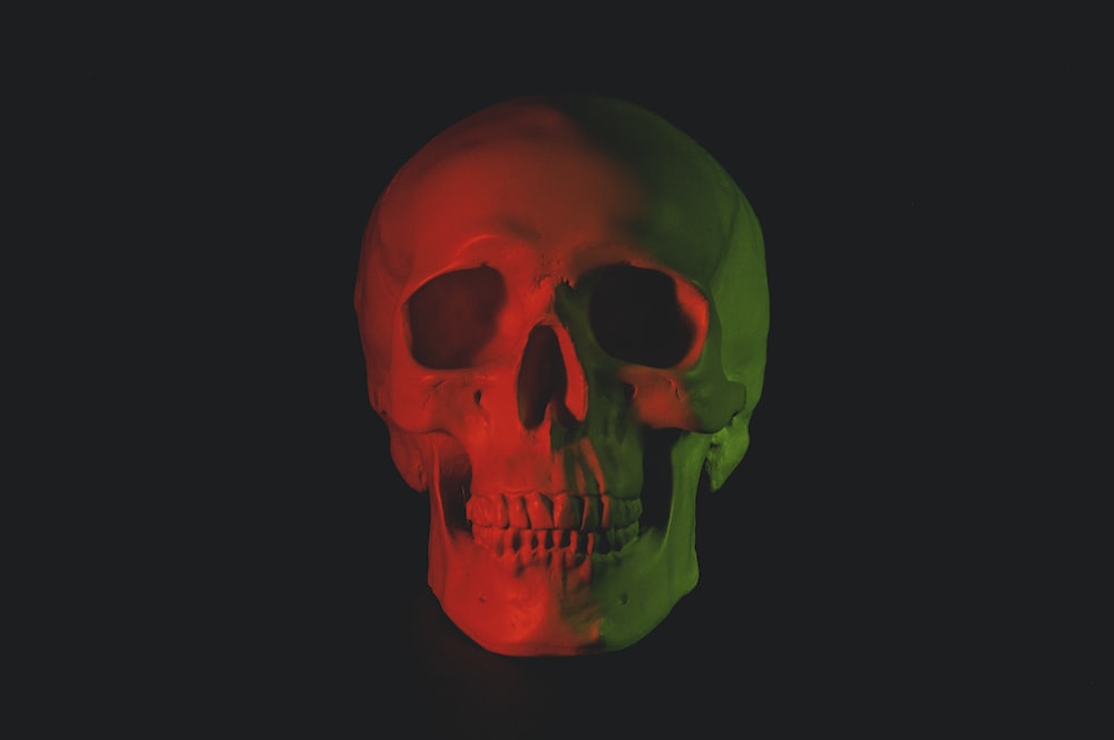 Skull Pictures Image