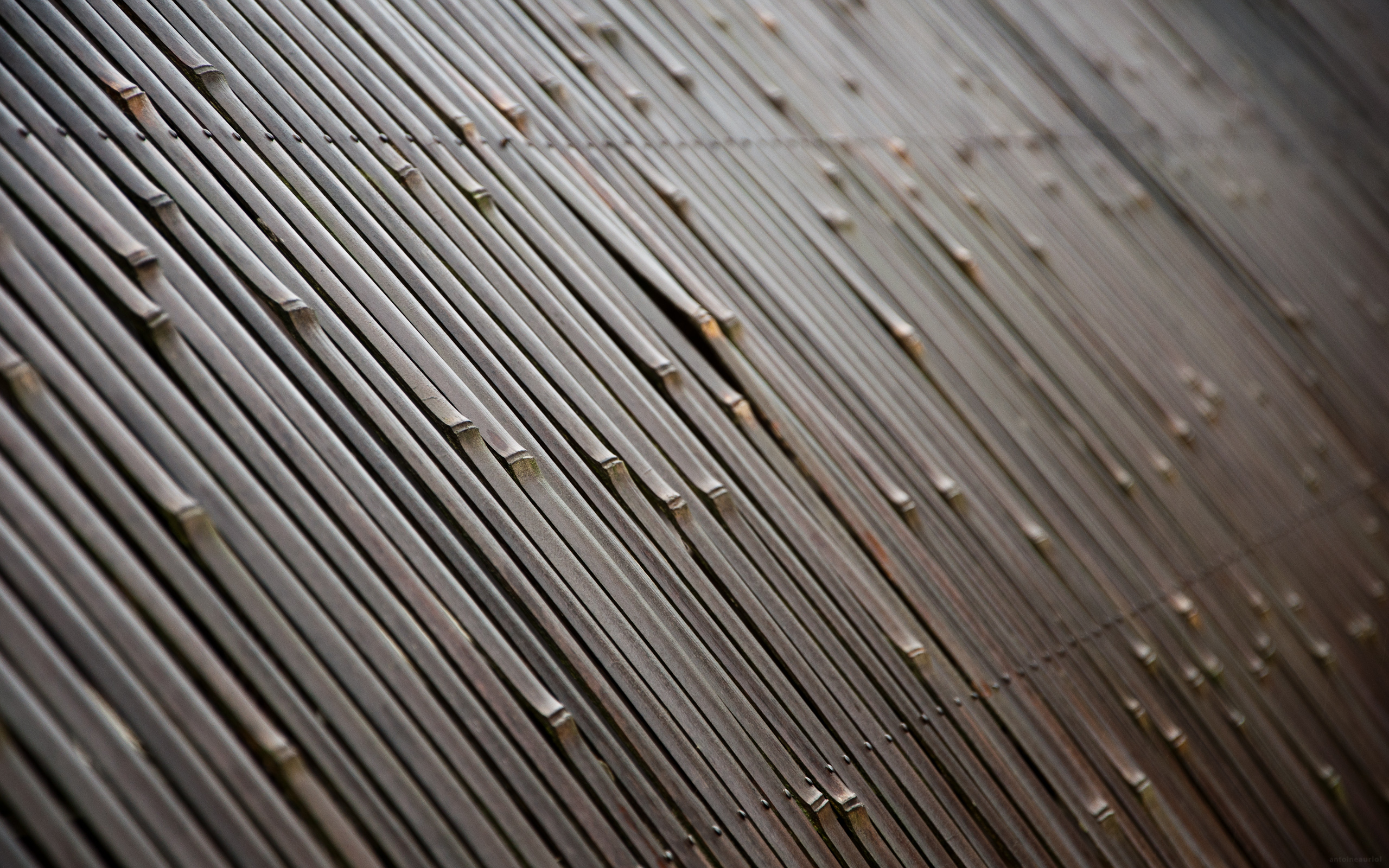 bamboo textured wallpaper 2015   Grasscloth Wallpaper
