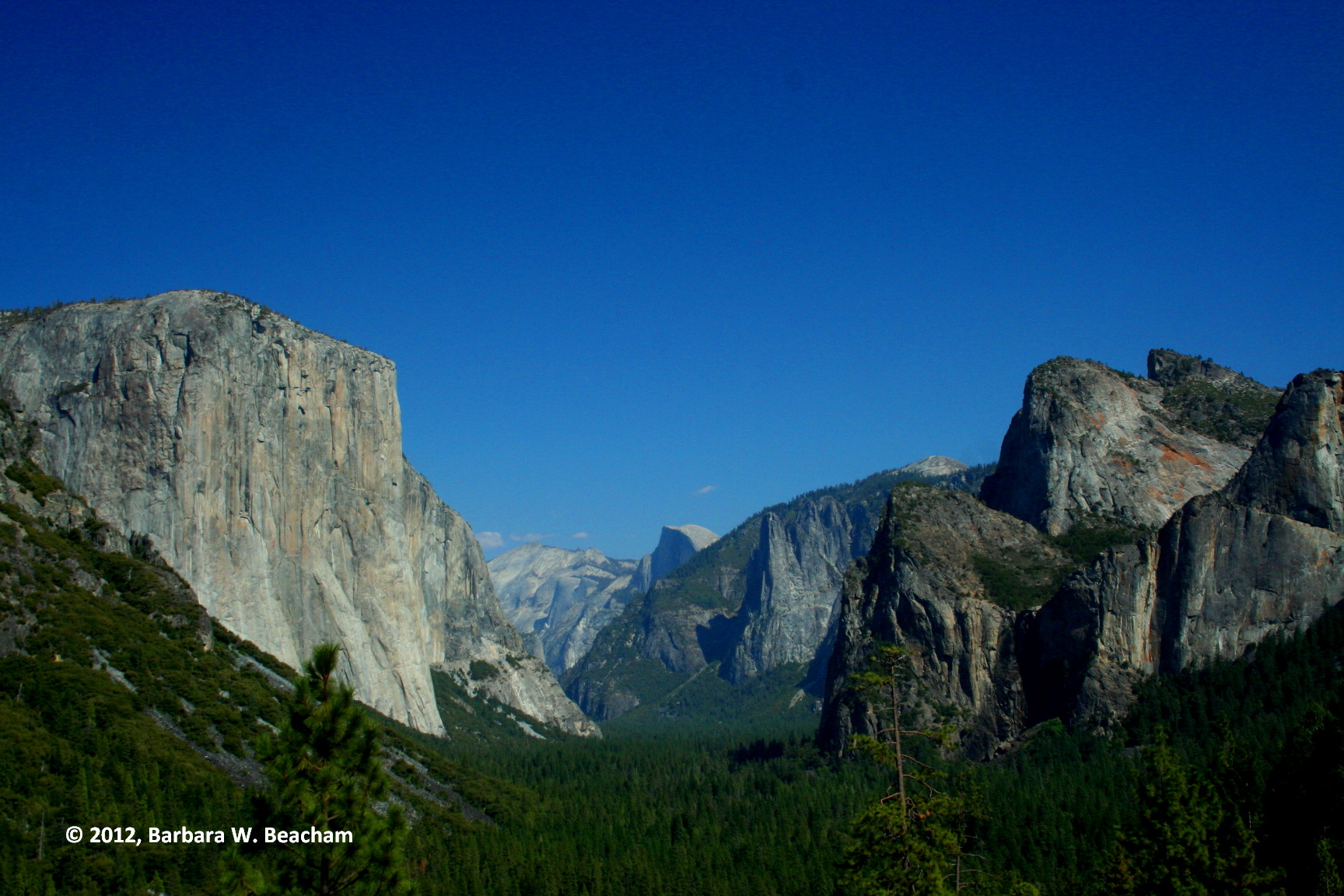 Yosemite Valley With Half Dome In The Background
