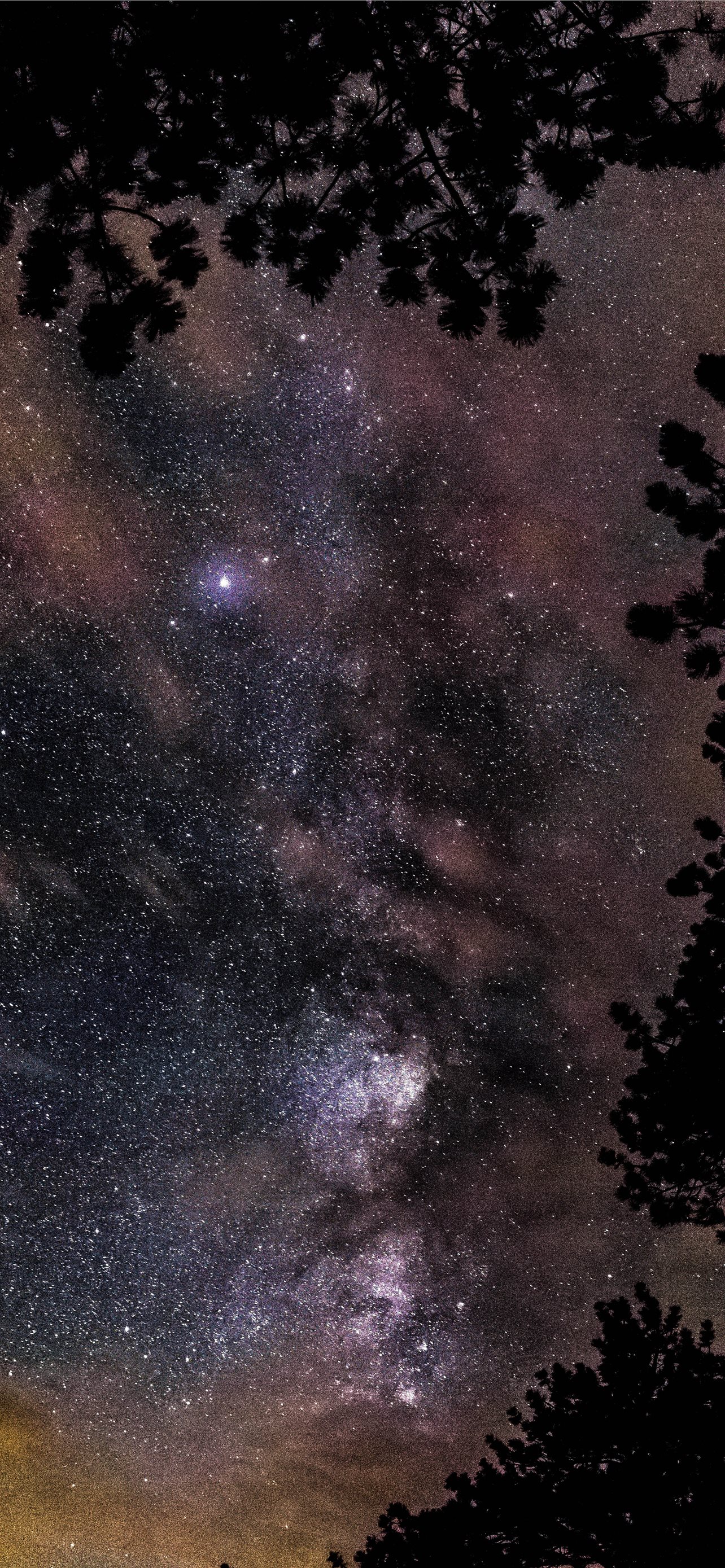 Star Gazing Photography iPhone Wallpaper