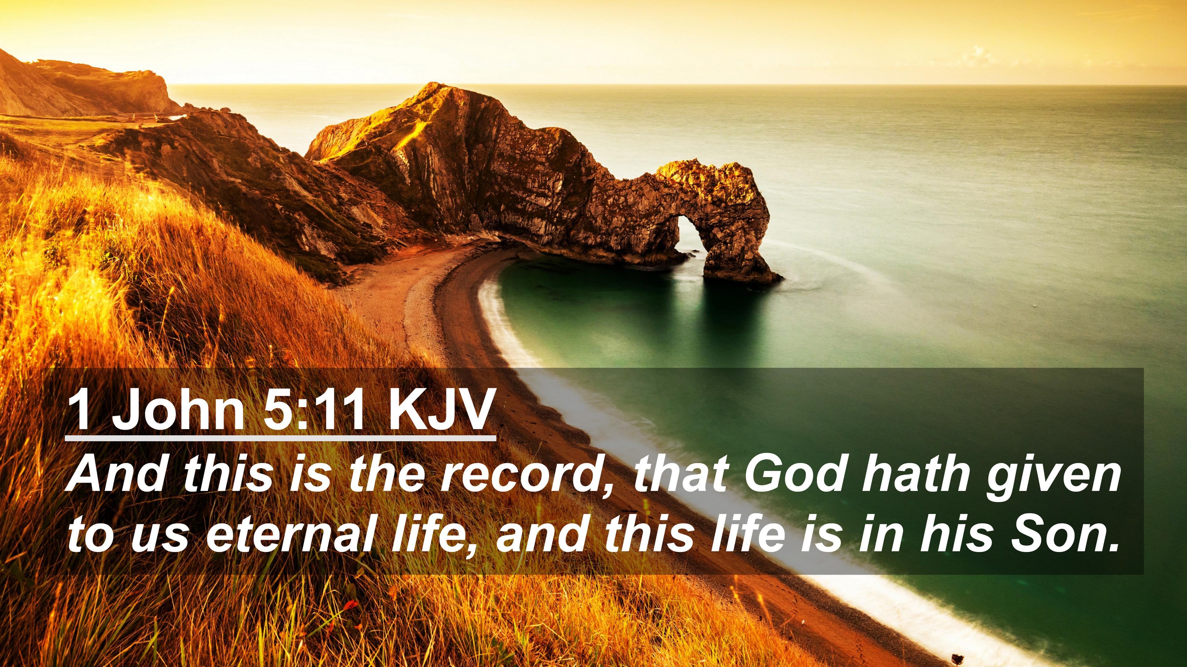 John Kjv 4k Wallpaper And This Is The Record That God
