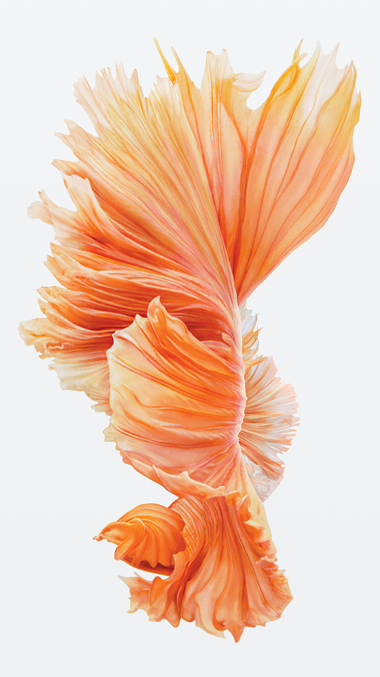 Get the Beautiful Live Wallpapers from iPhone 6s as Still Wallpapers