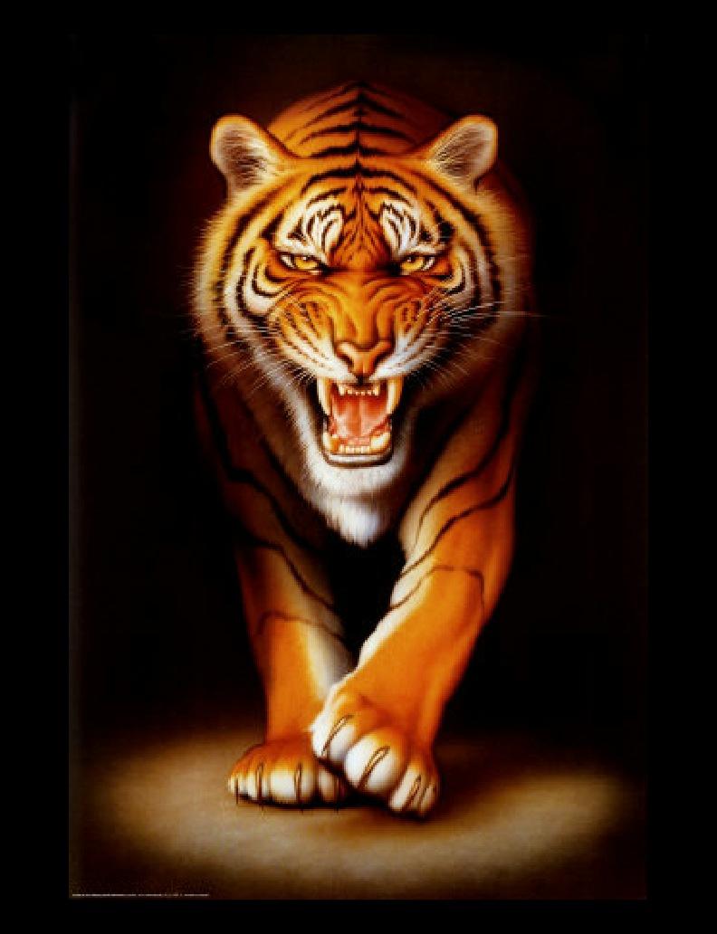 Fierce Tiger Digital Art By Paul Fleet Fine Prints