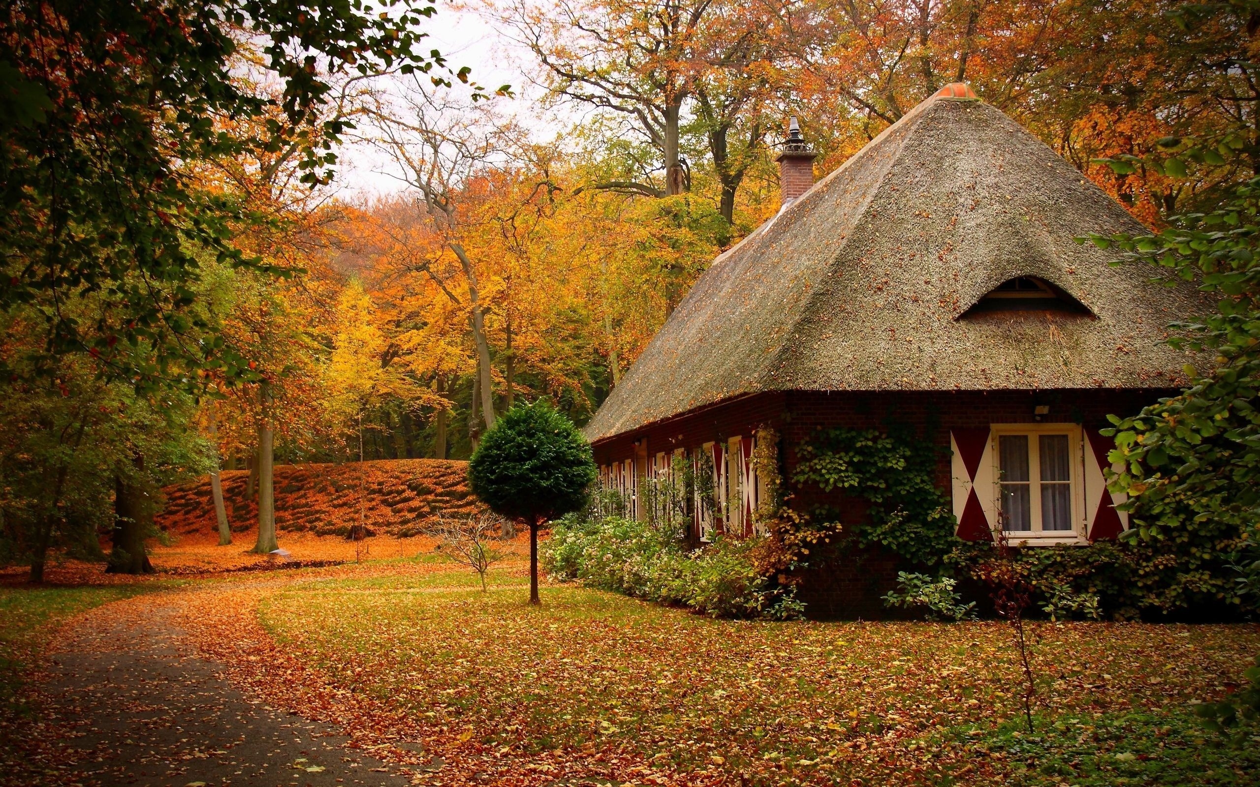 Nature Wallpaper Of Autumn Forest With A Small House HD