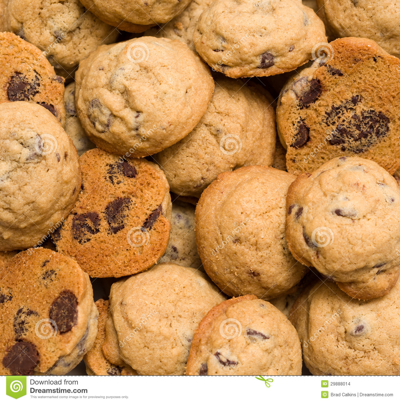 Chocolate Chip Cookie Background