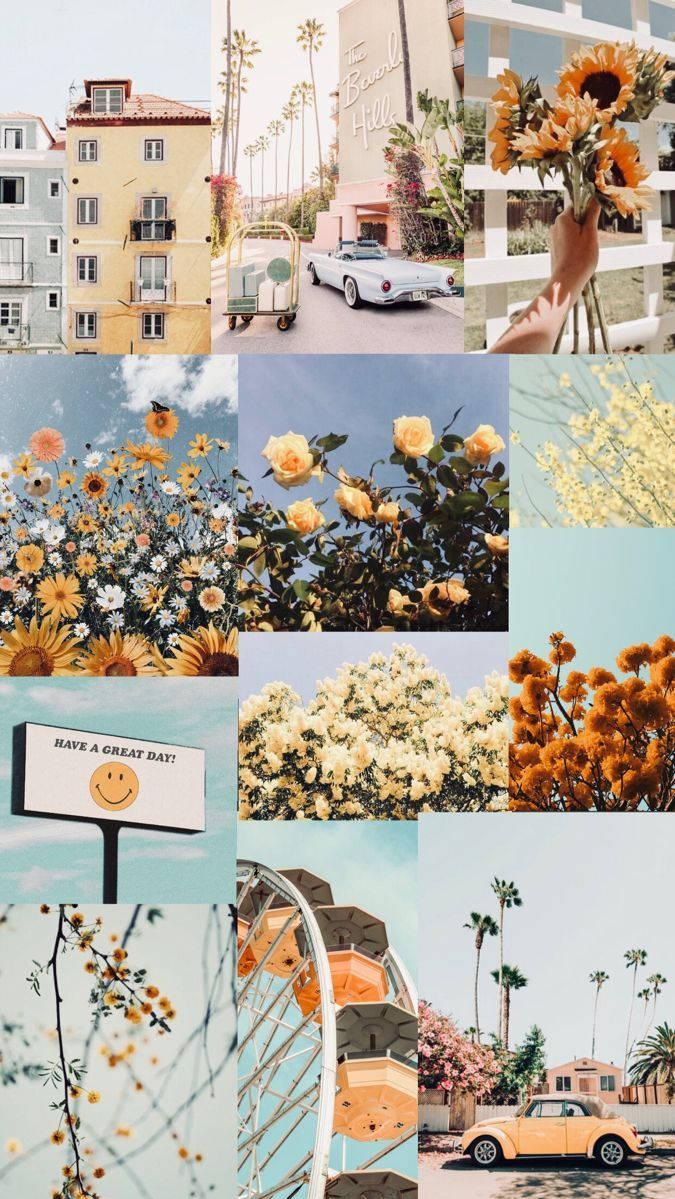 Aesthetic Spring iPhone Screen Theme Wallpaper