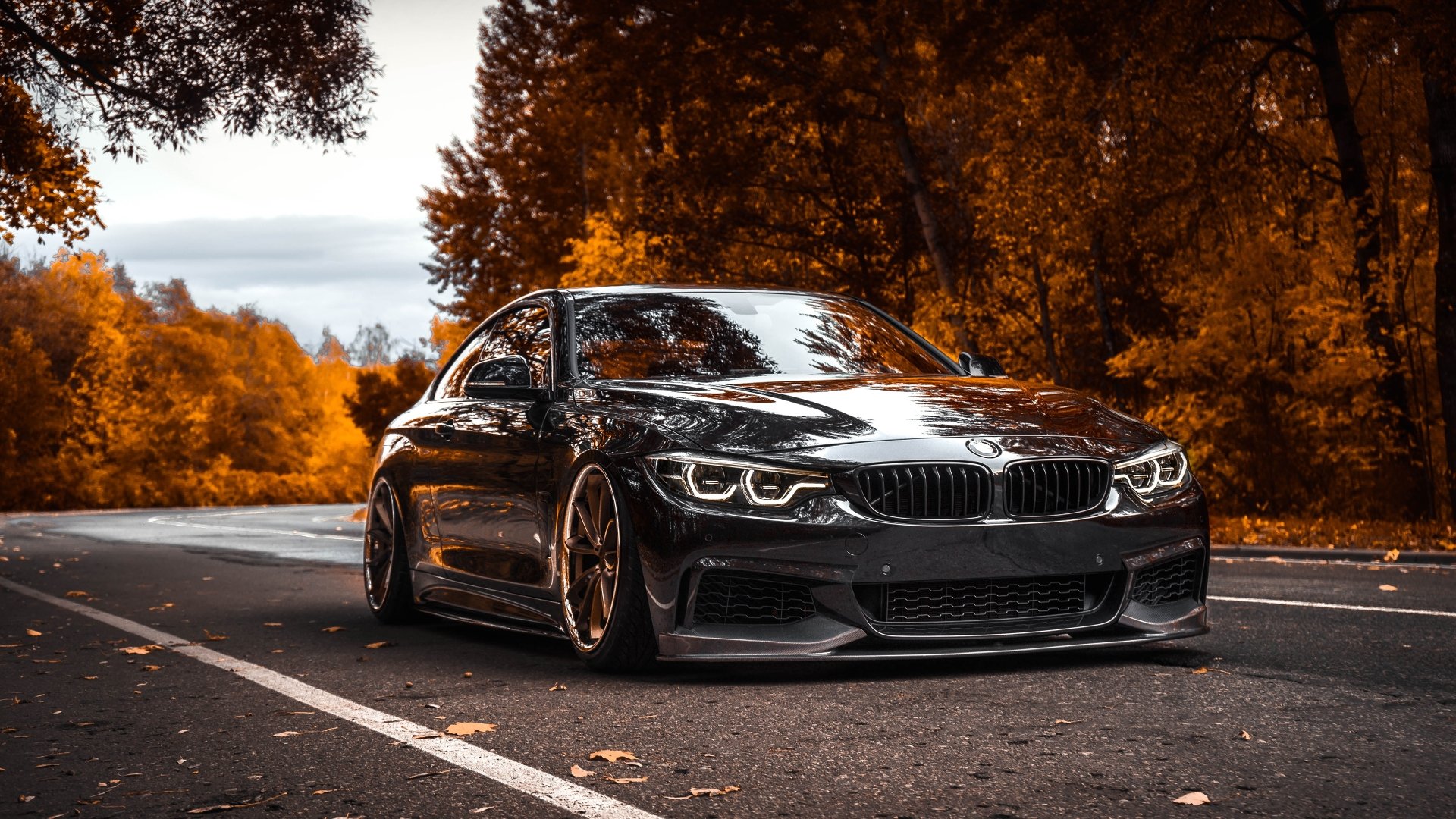 Sleek Black BMW Coupe on a Scenic Autumn Road