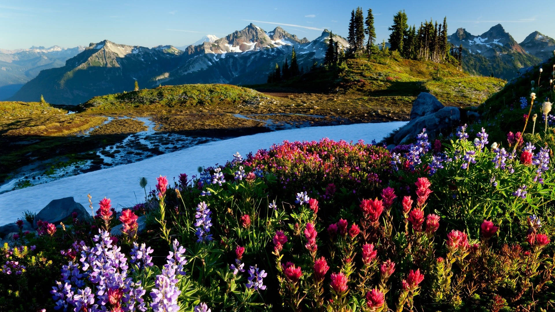 Scenic mountain landscape with colorful wildflowers and snow patches in the foreground, a clear blue stream flowing through, and majestic snow-capped mountains in the background under a clear blue sky