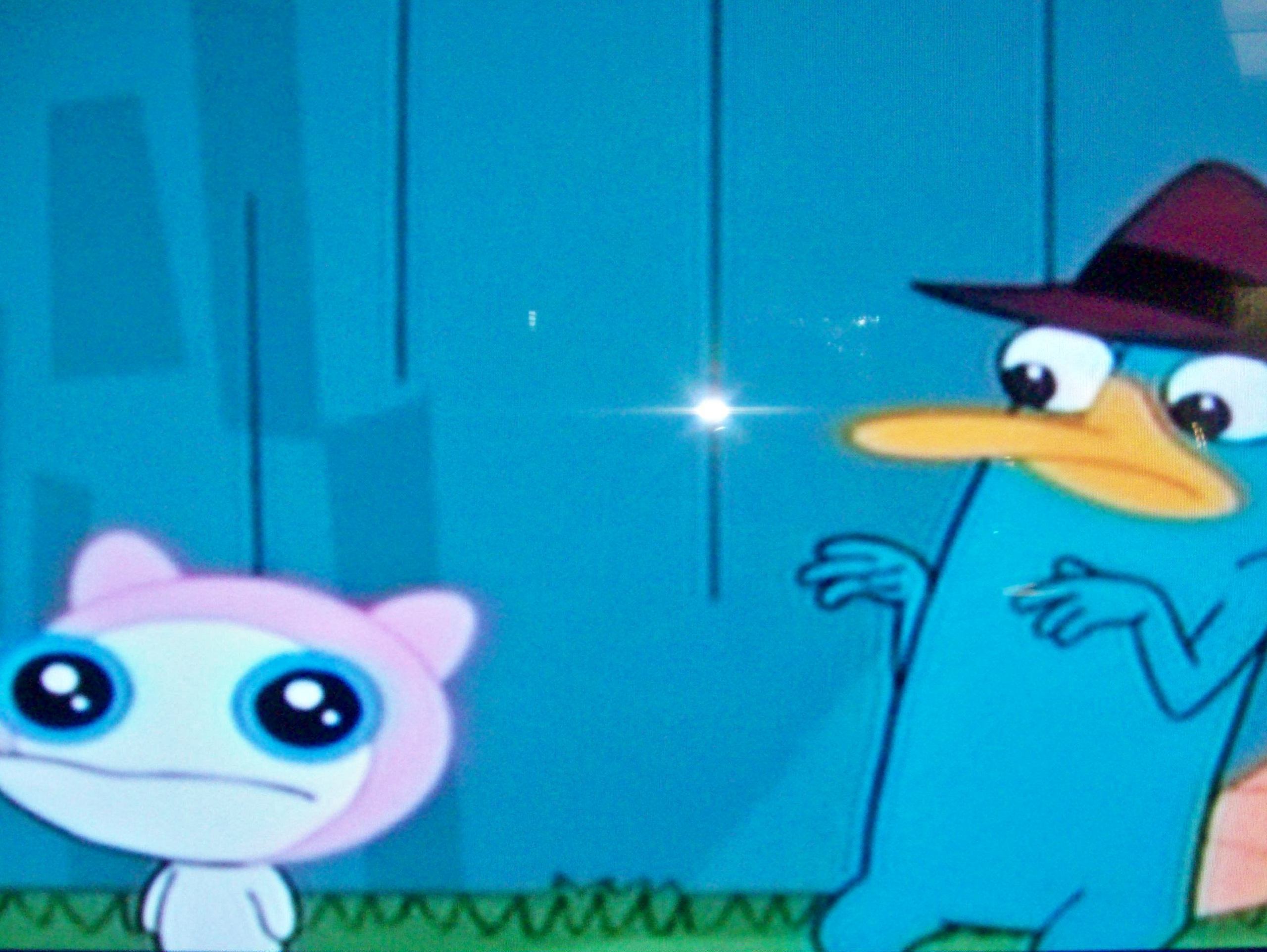Perry And Meap Meet Phineas Ferb Photo