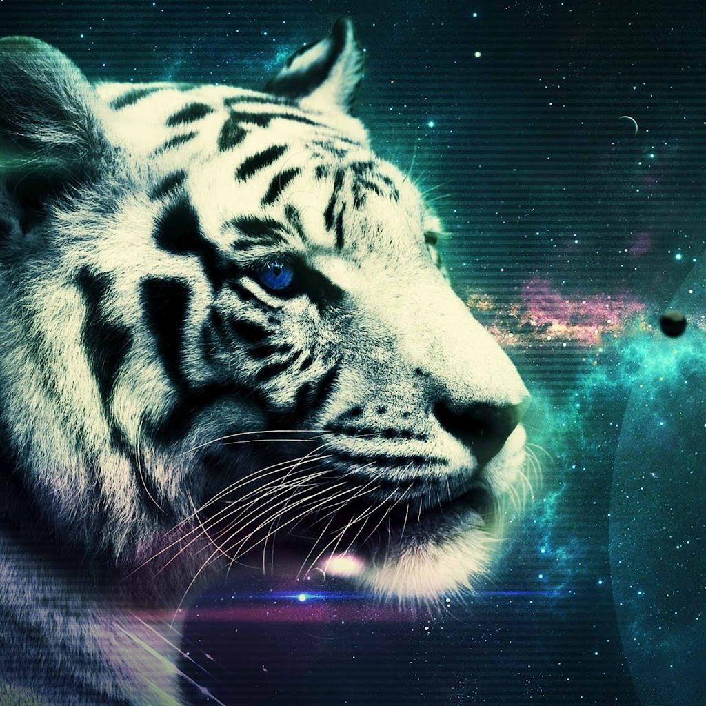 Galaxy Tiger Pictures Wallpaper Animal