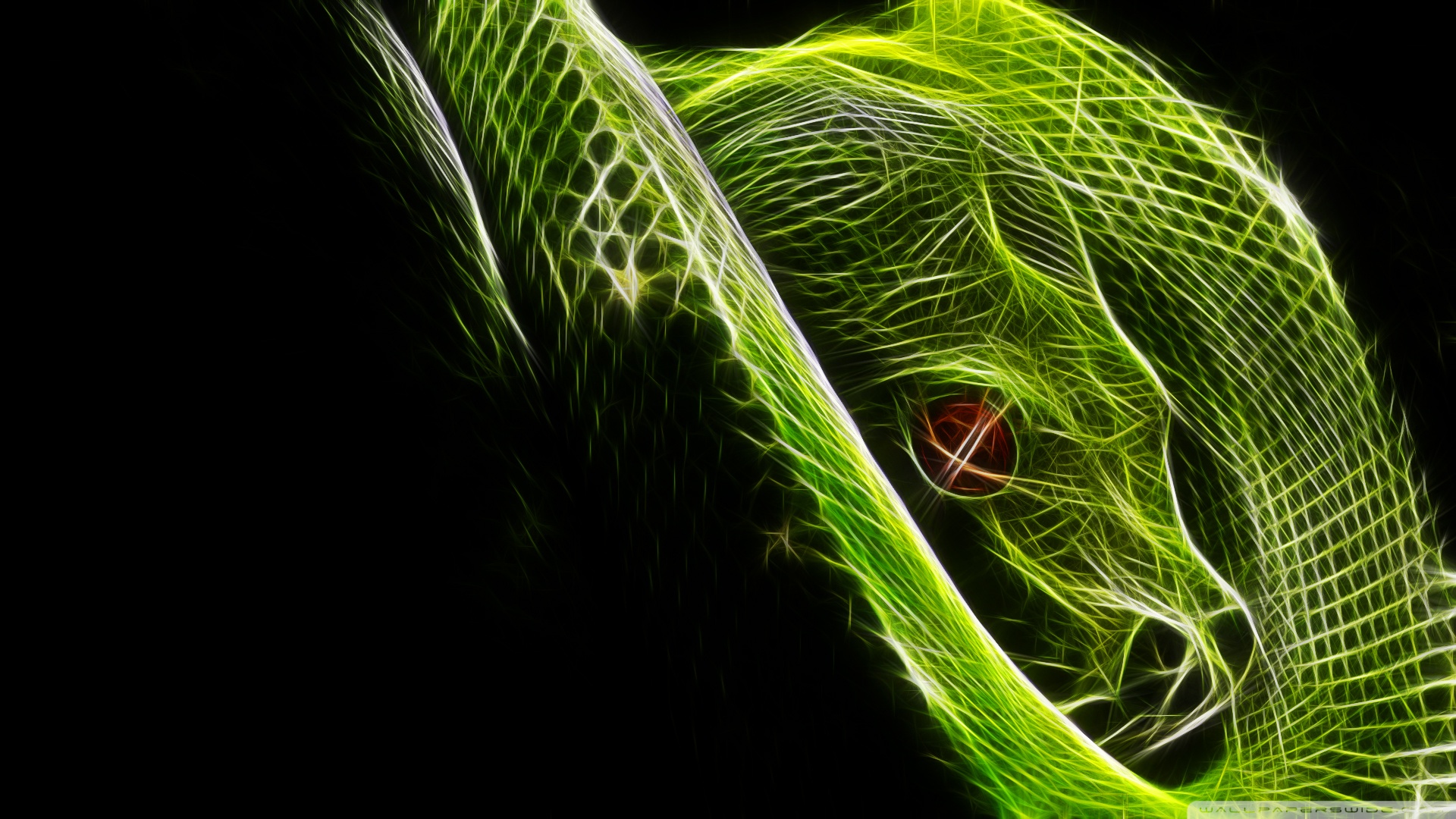 3d Cool Snake Background Pc Android iPhone And iPad Wallpaper