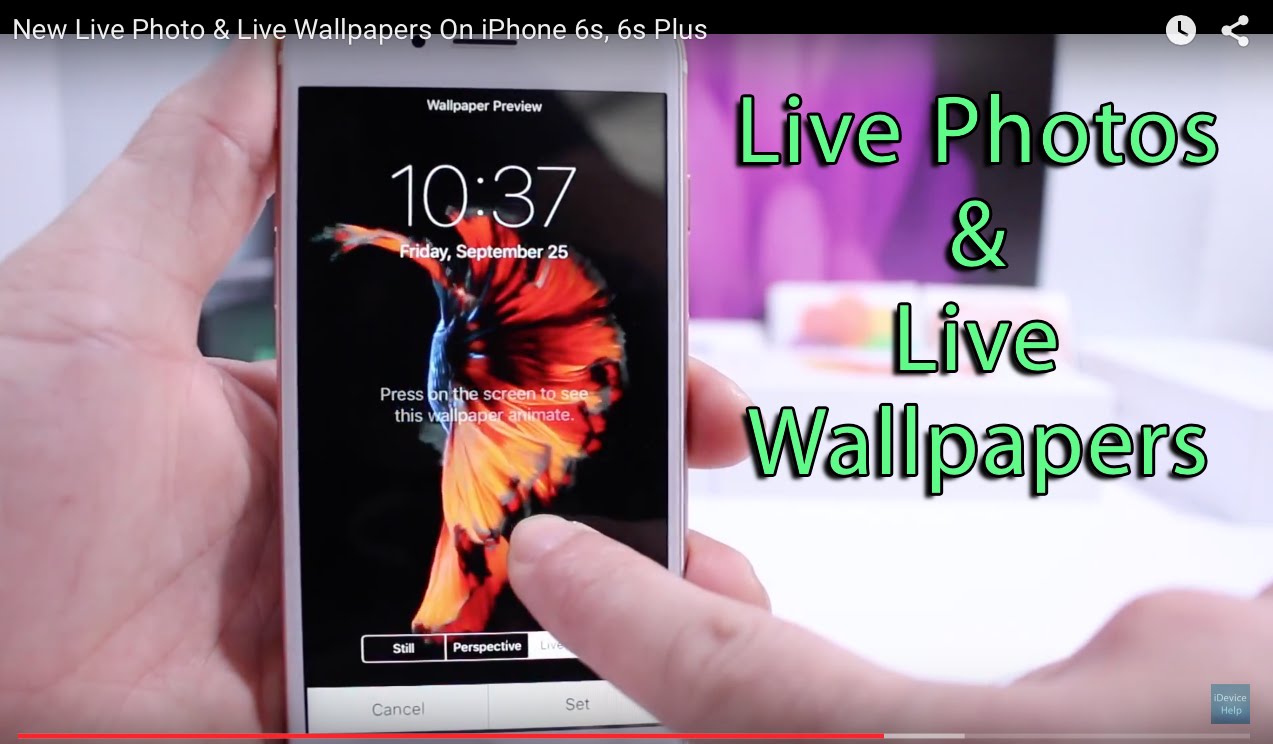 Free download Live Wallpaper IPhone 6s Not Working 1273x744 857K565