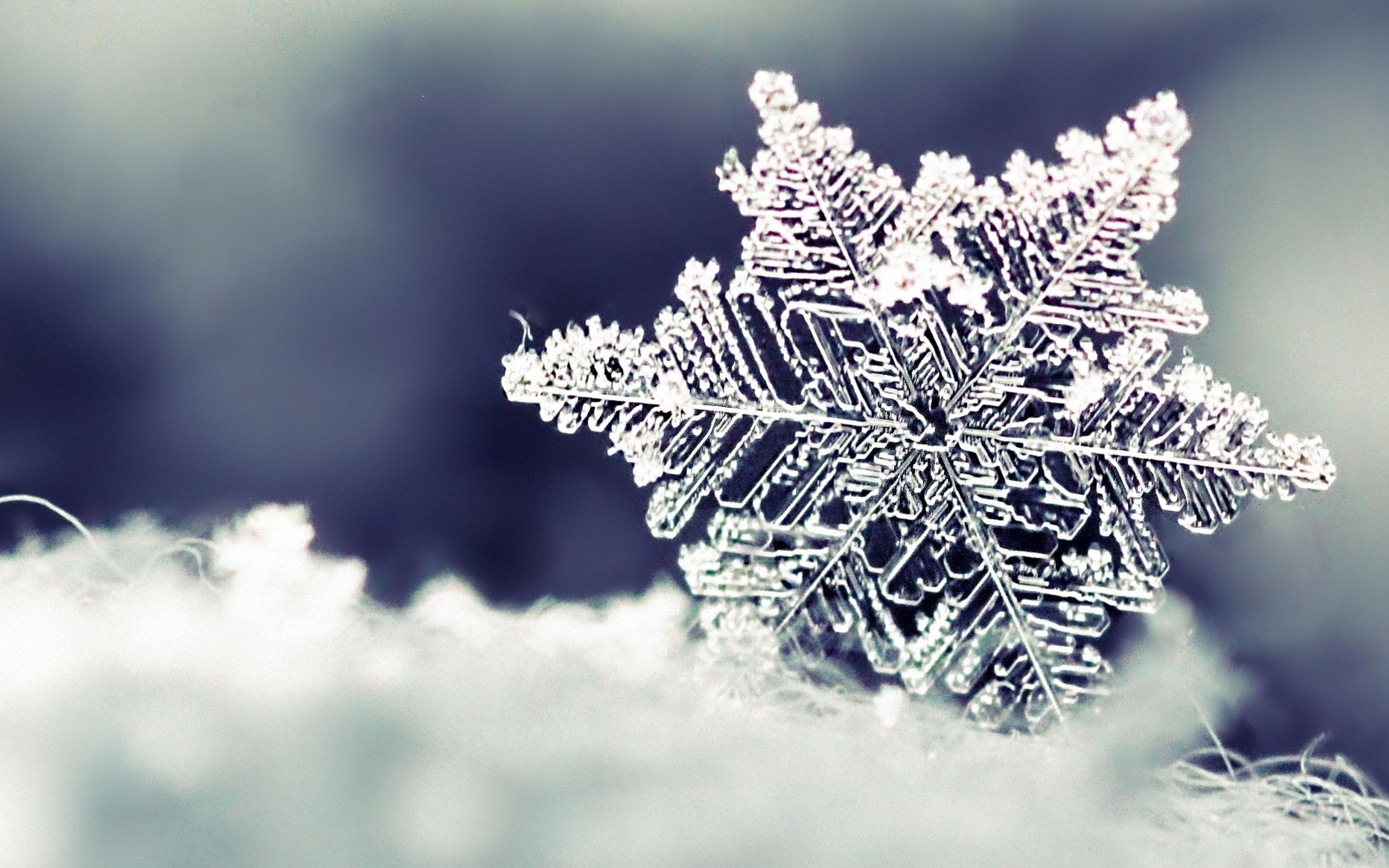 Frozen Snowflake Wallpaper