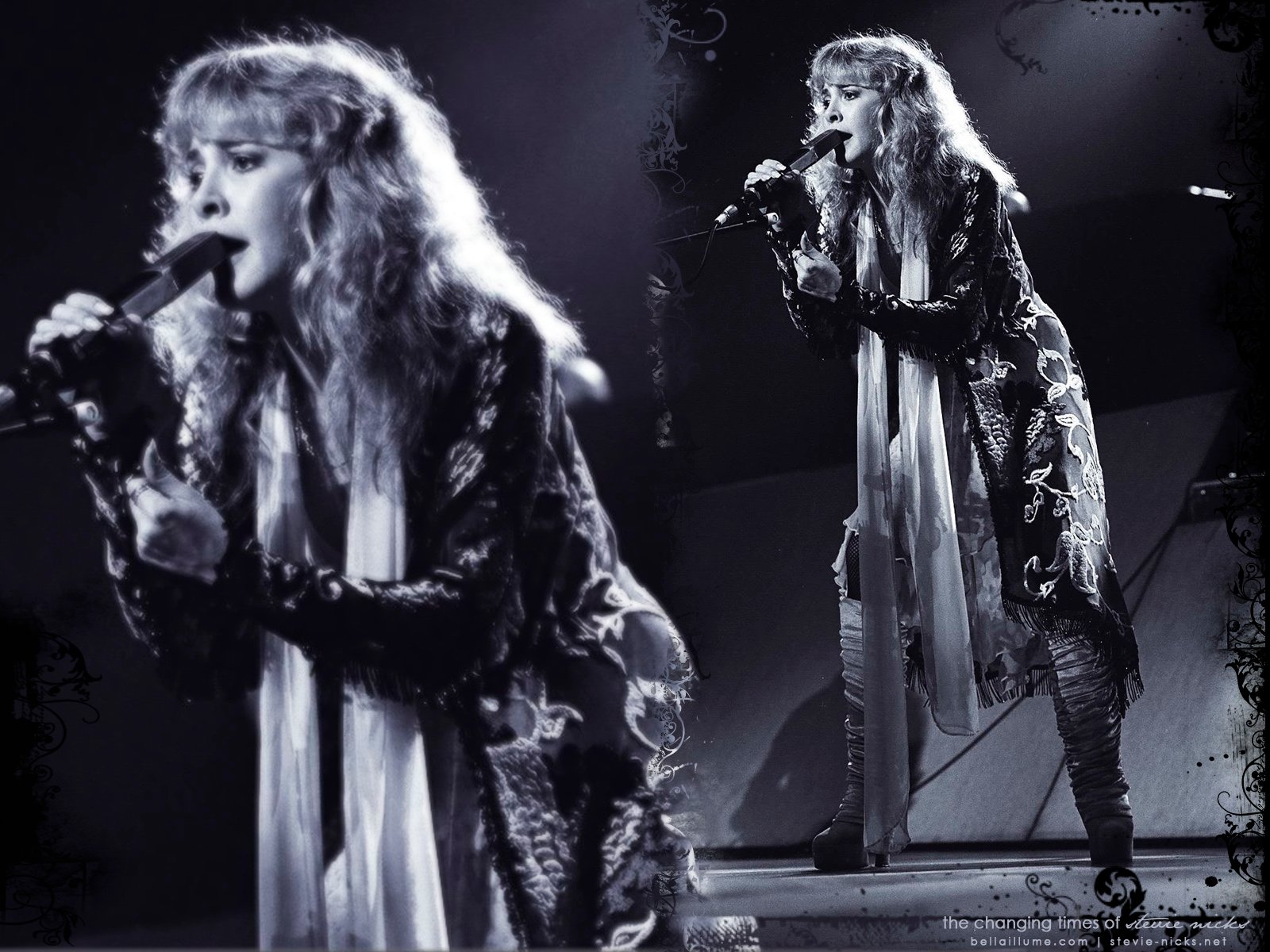 the changing times of stevie nicks the woman her music her life