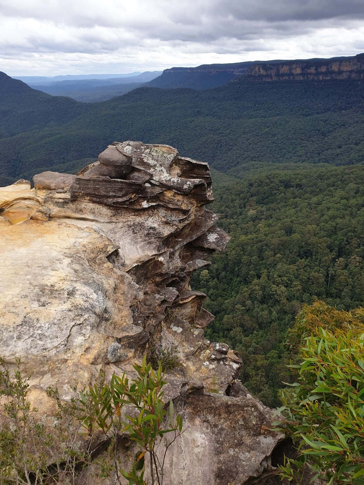Blue Mountains National Park Wallpaper