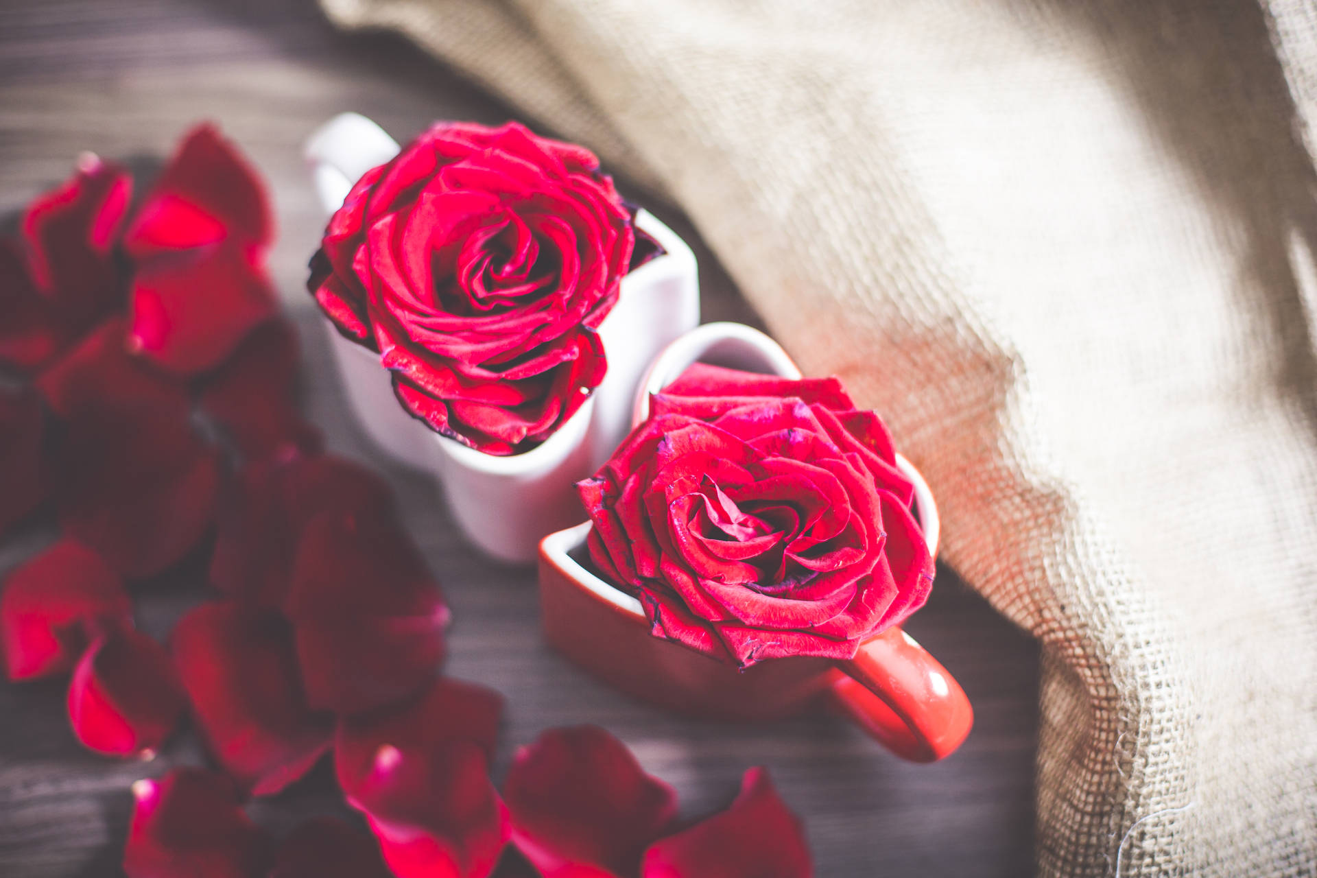 Mugs And Rose Aesthetic Phone Wallpaper