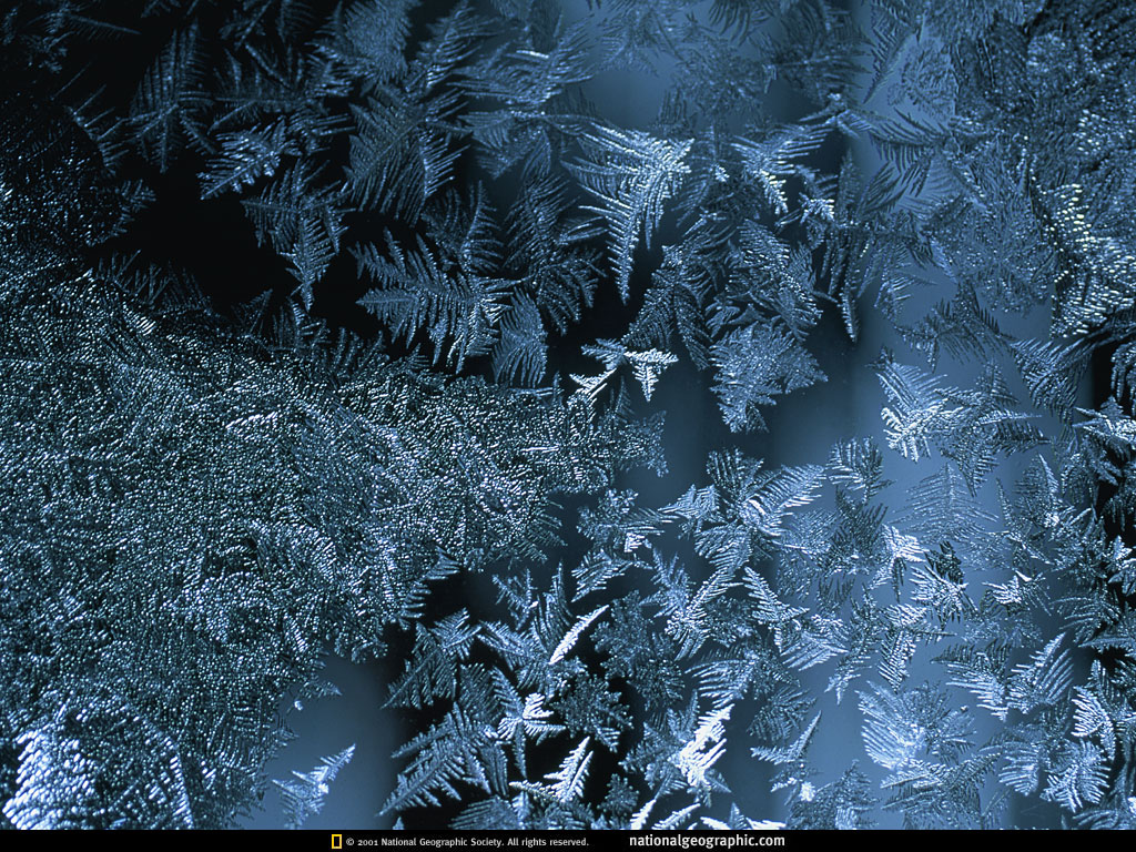 Unique Wallpaper Most Famous National Geographic HD