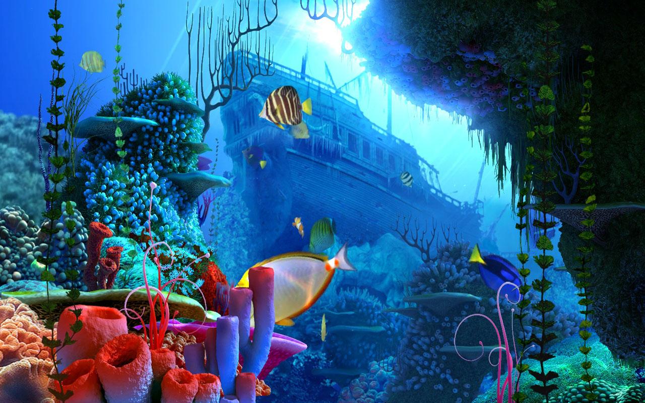 Set Your Android Phone Or Tablet With This Coral Reef Live Wallpaper