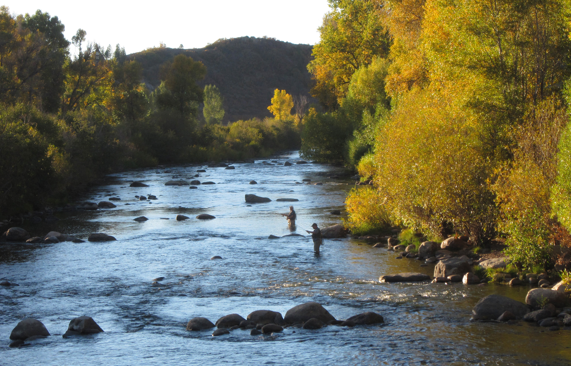 Evening Fly Fishing On The Yampa Steamboat Springs