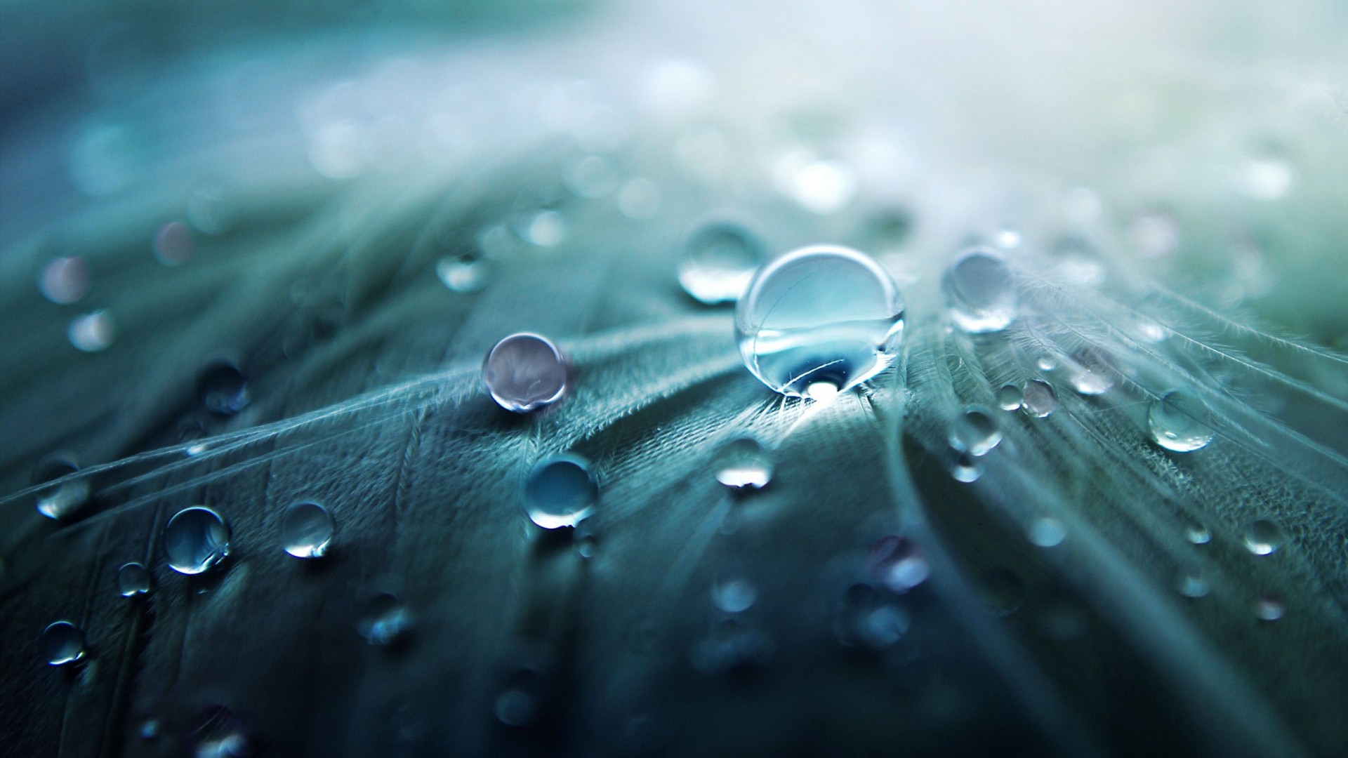 Water Wallpaper HD