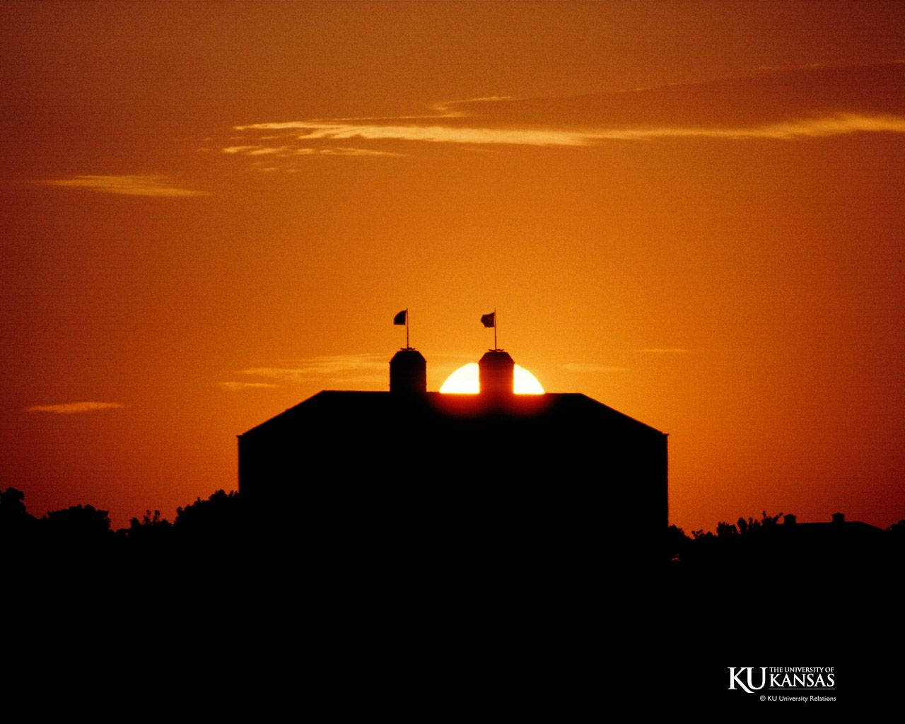 University Of Kansas Wallpaper