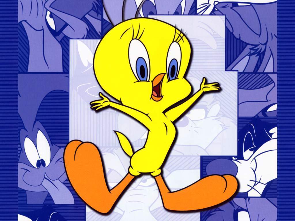 Tweety   Looney Tunes Wallpaper 1990610 1024x768