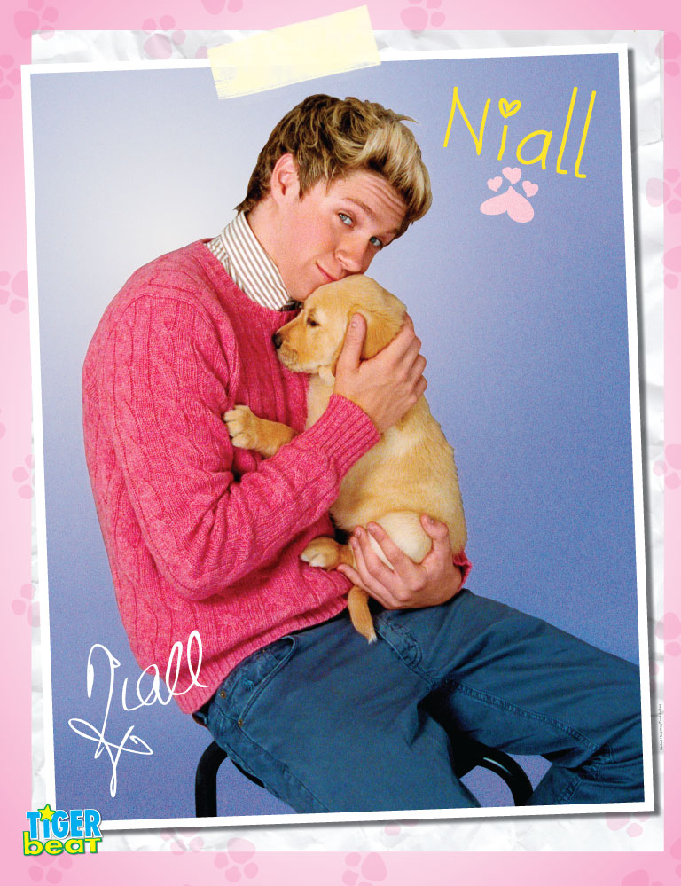 Which 1d Hottie S Tiger Beat Puppy Poster Wins Tbt Bop And