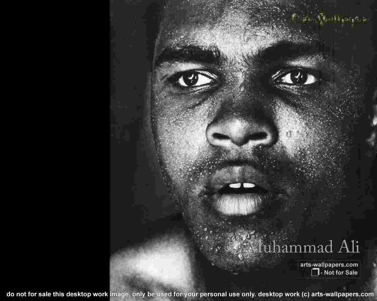 Muhammad Ali 02 wallpaper   Boxing   Sport   Wallpaper Collection 1280x1024