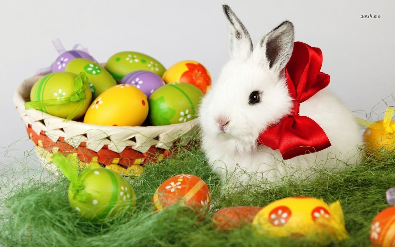 Happy Easter Bunny Eggs Wallpaper