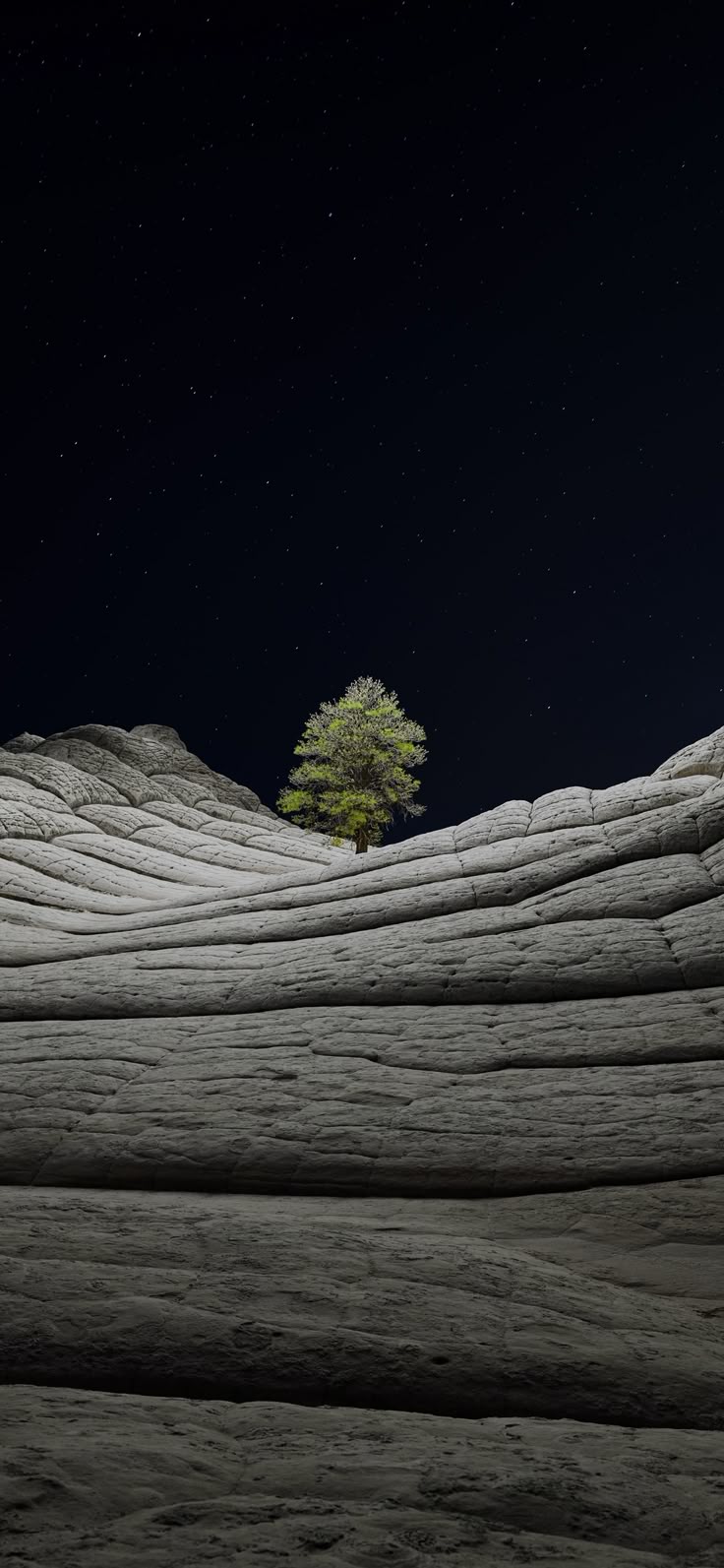 Desert Three Night Wallpaper