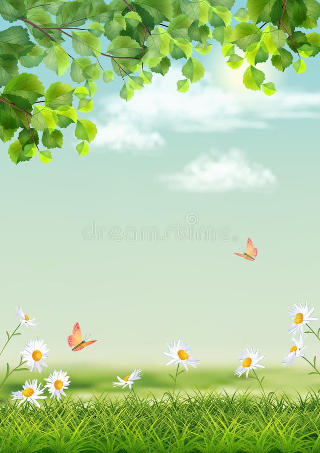 Vector Summer Landscape With Grass Flowers Tree Branches