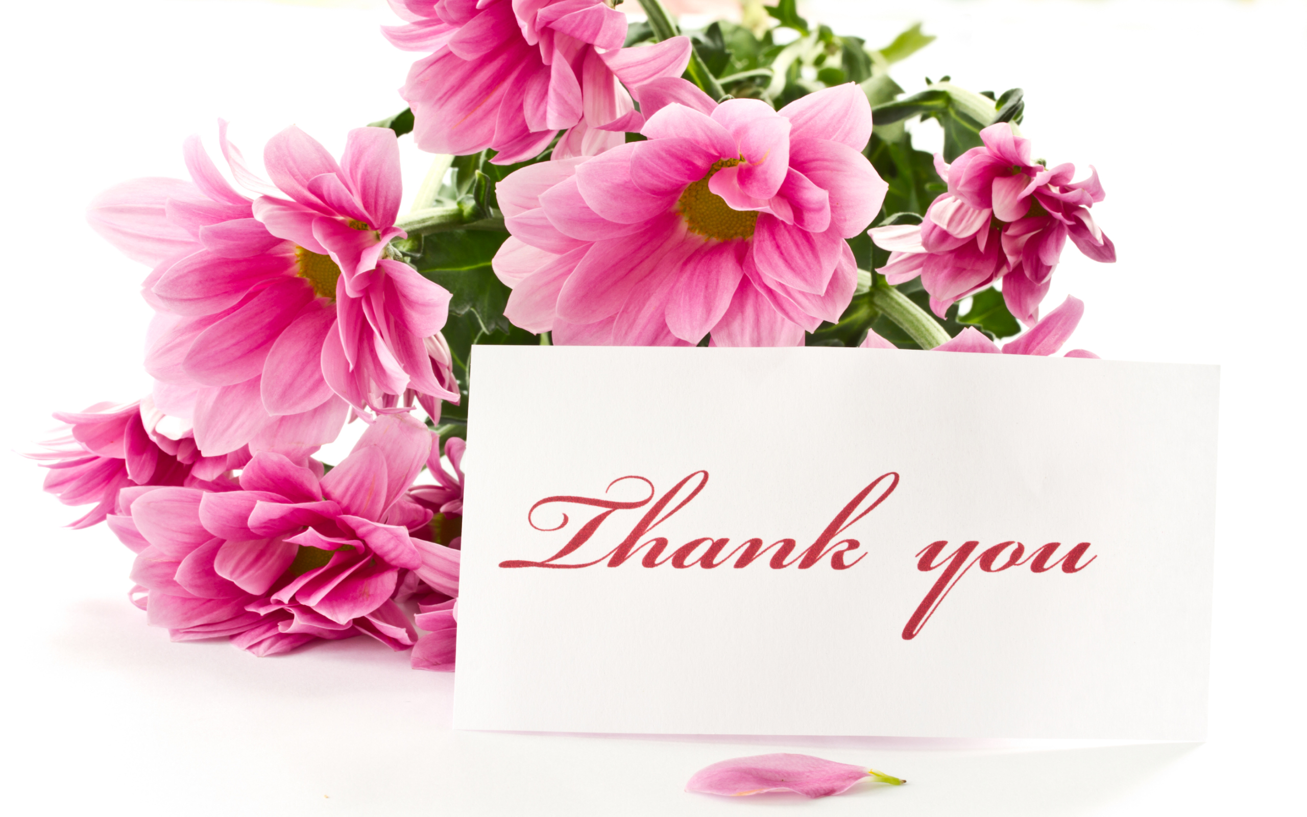 Thank You Wishes With Flower Image
