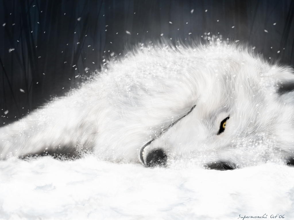 white wolf Wolves Wallpaper