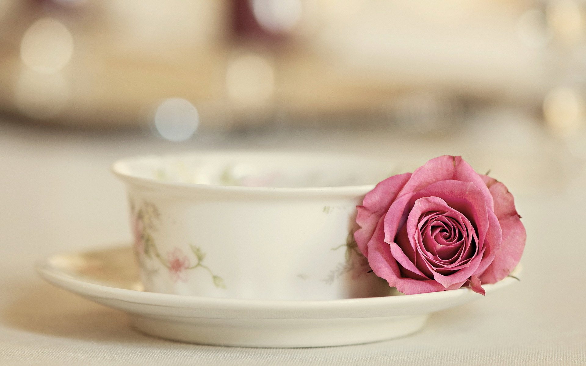 Rose With Tea Cup Widescreen HD Wallpaper