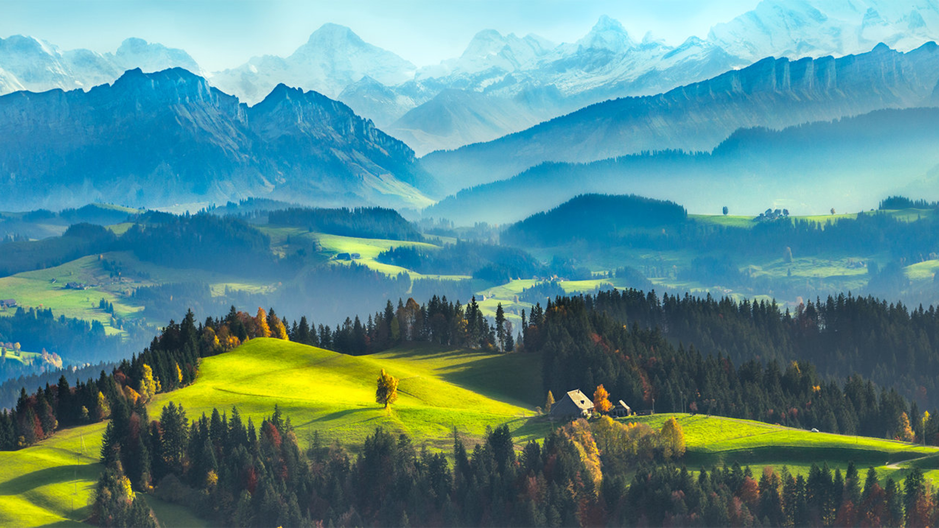 X Nature Wallpaper