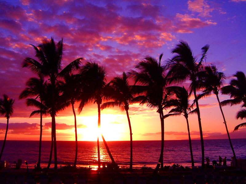 Go Back Gallery For Hawaiian Sunset Background
