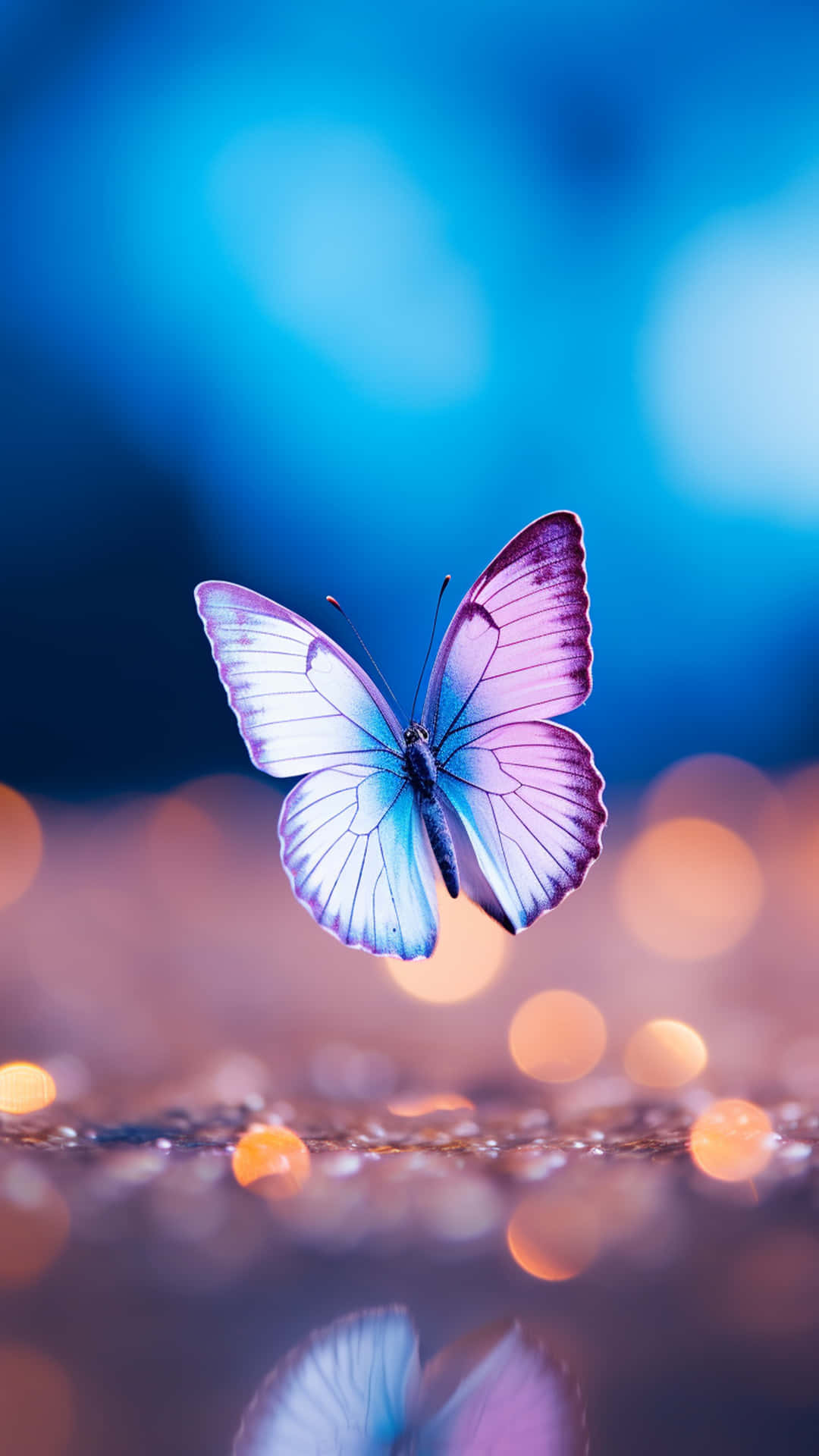 Butterfly Fly Wallpaper