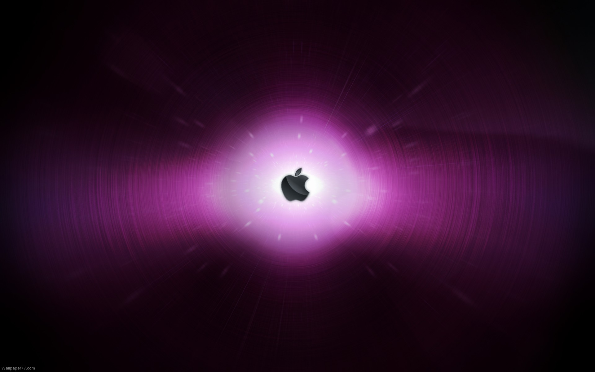 Apple In Purple Wallpaper Puter Jpg