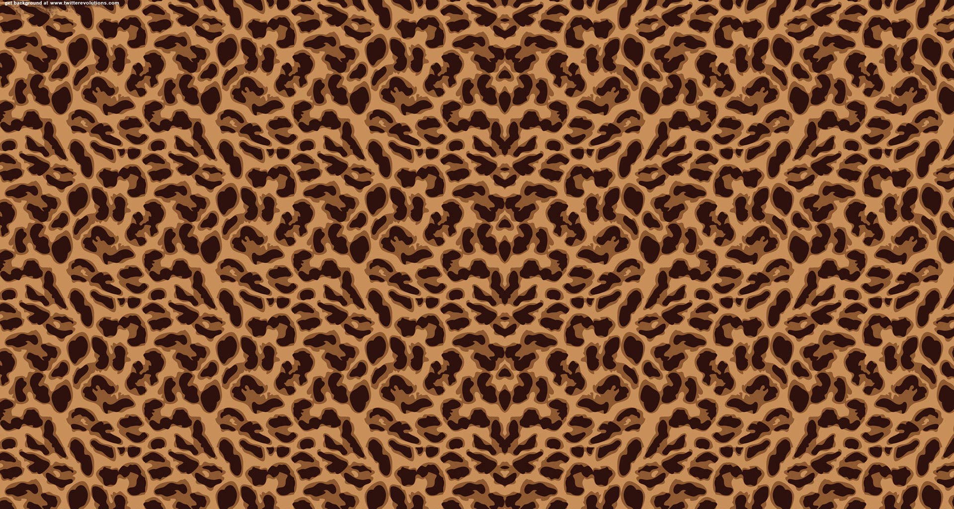 Leopard Print Background Evolutions