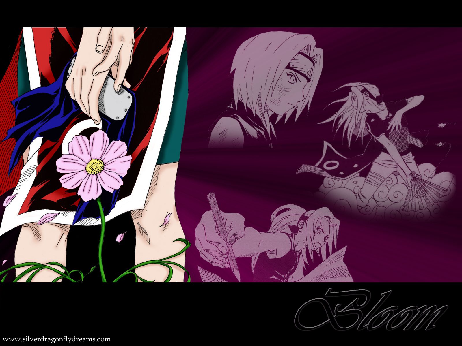 Sakura Haruno On Wallpaper
