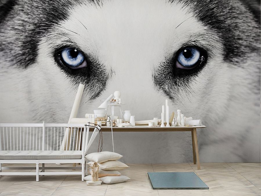 50 Wolf Wallpaper For Bedroom On Wallpapersafari